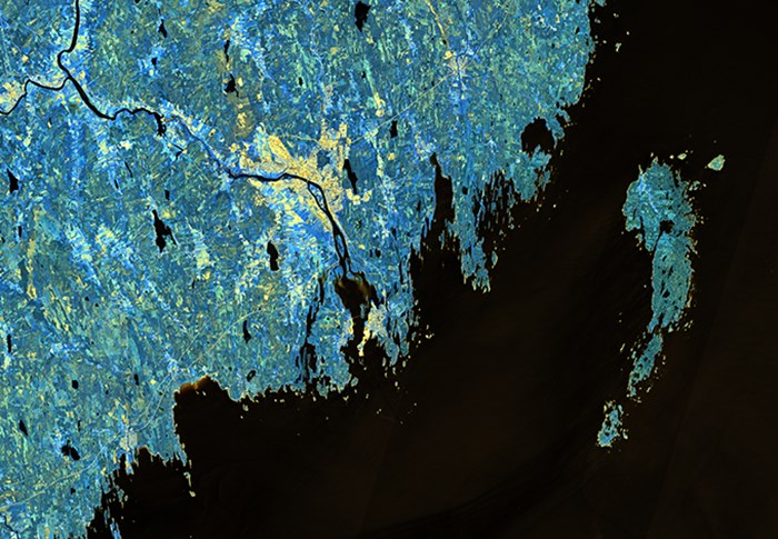 Rastrerad karta över Umeå stad i gult med omgivning i blått. Bild. 
