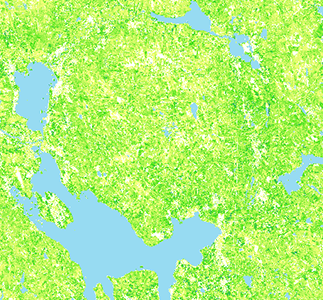 A map with blue lakes and green forest pixels. Image.