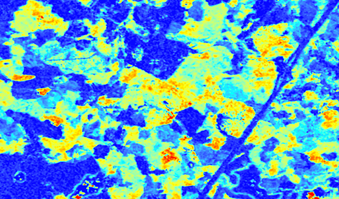 Radarbild över skogsmark färgsatt i blått, gult och rött. Bild. 