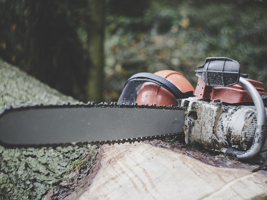 Chainsaw and a helmet on a log, photo.