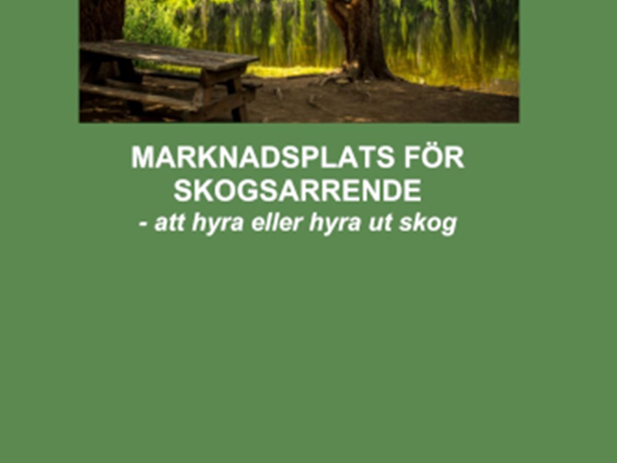Bild av rapportframsida