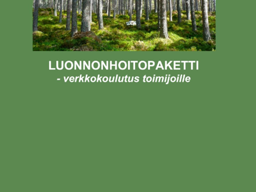 Rapportframsida grön