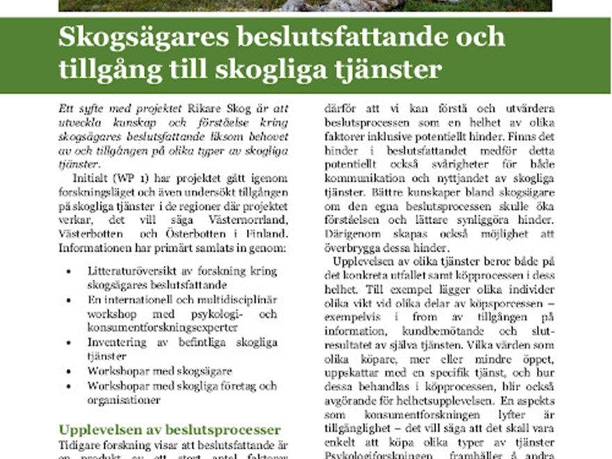 Bild på den svenska sammanfattningen.