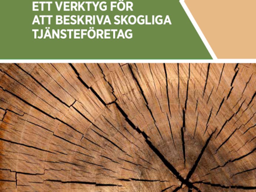 Omslag med en bild på en skogskärna