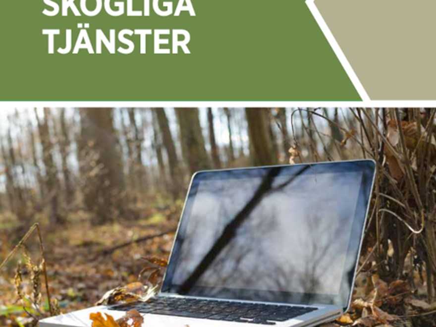 Omslag med en bild på en dator i skog
