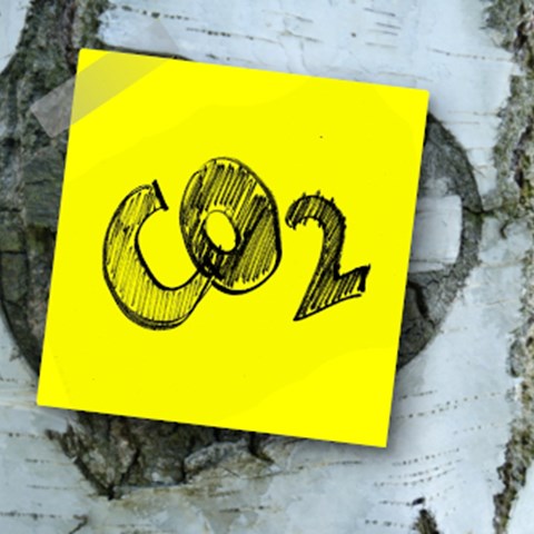 Gul Postit-lapp med texten Co2 på en björkstam