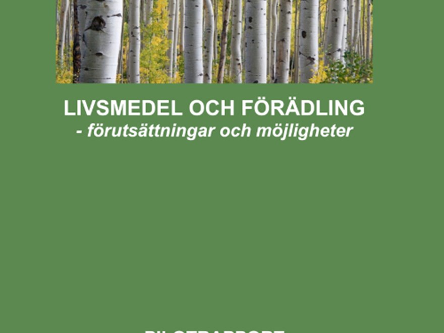 Bild på rapportomslag