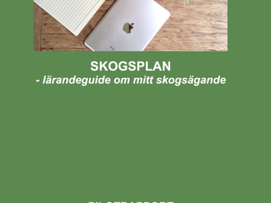 En bild på rapportens gröna framsida