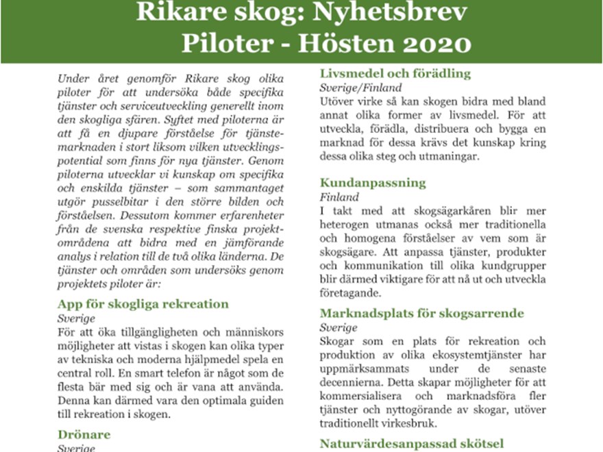 Bild på nyhetsbrevet