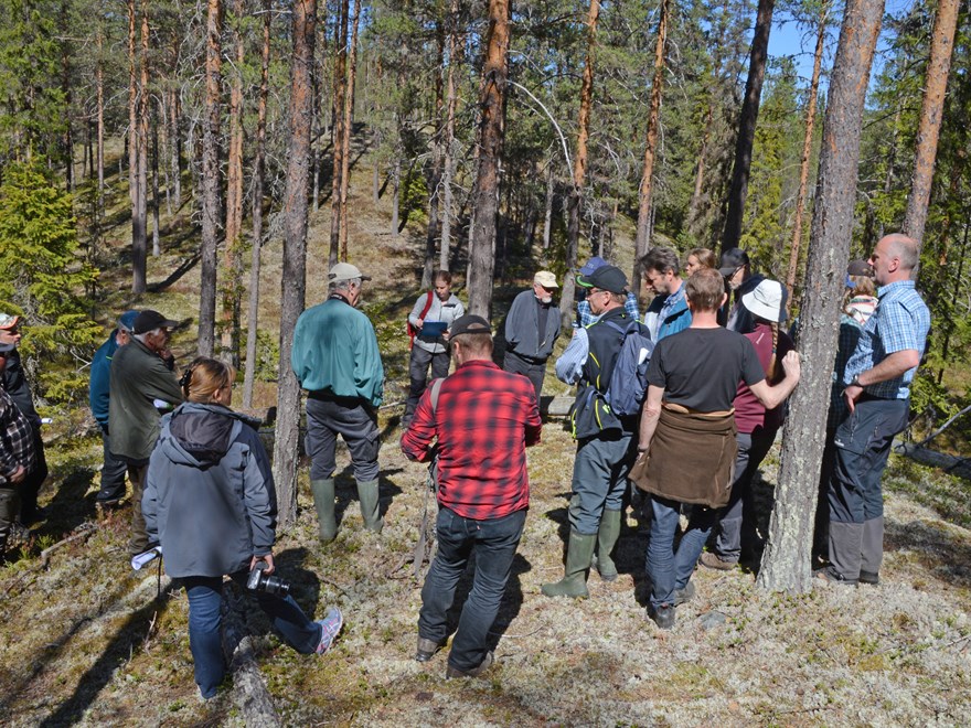 14 personer står tillsammans i en tallskogsslänt.