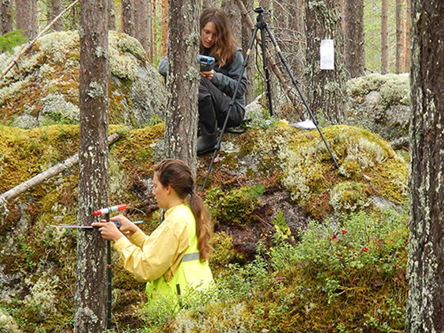 Two people doing field invetory. Photo.