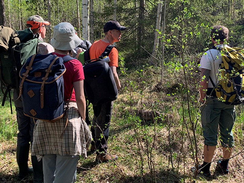 Four talking people in the forest. Photo.