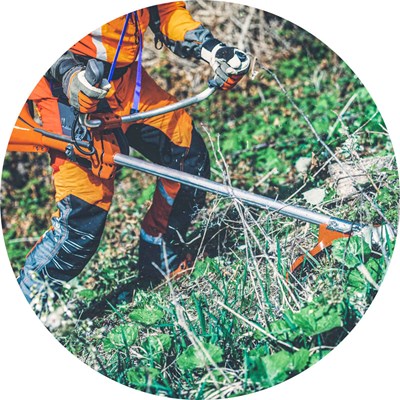 A person runs a clearing saw in woodland. Photo.