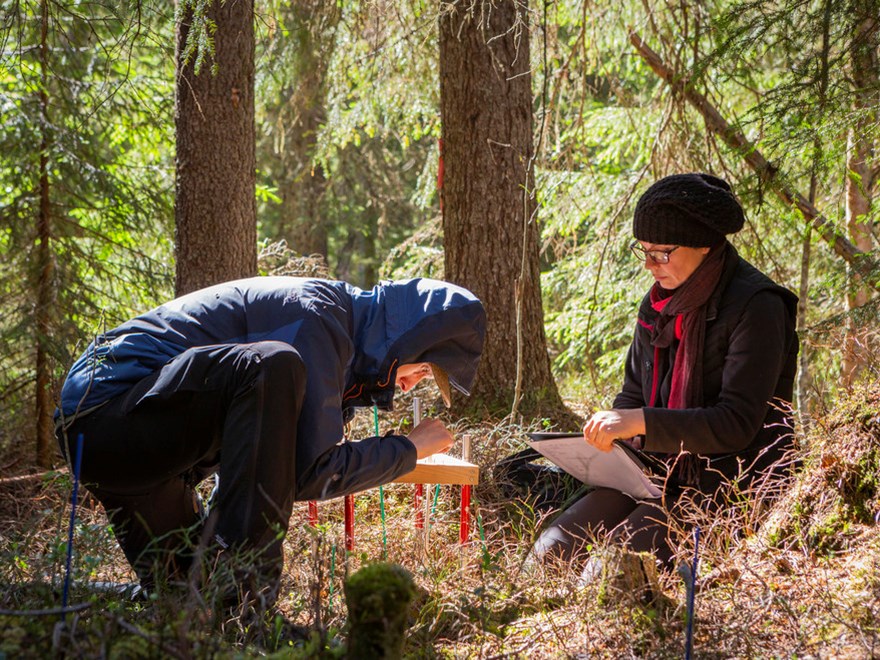 Two people crouching in a forest. Photo.