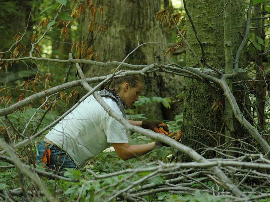 A woman in a forest. Photo.