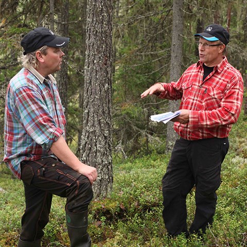 Två män för en dialog i skogen. Foto.