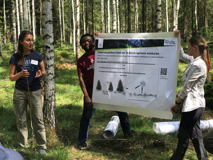 Tre personer presenterar framför poster i skogen. Foto.