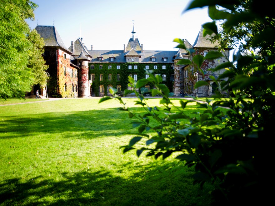 A castle in greenery. Photo.