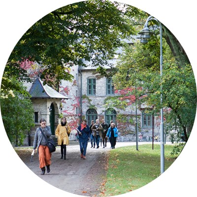 Some people are walking in a park. Photo.