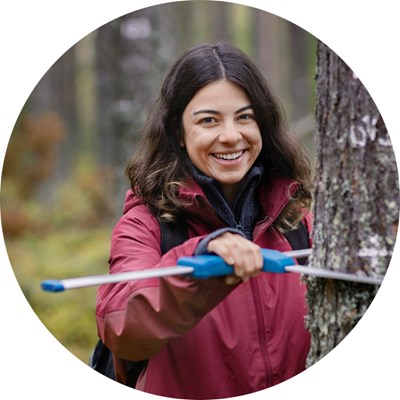 A woman measures the diameter of a tree. Photo.