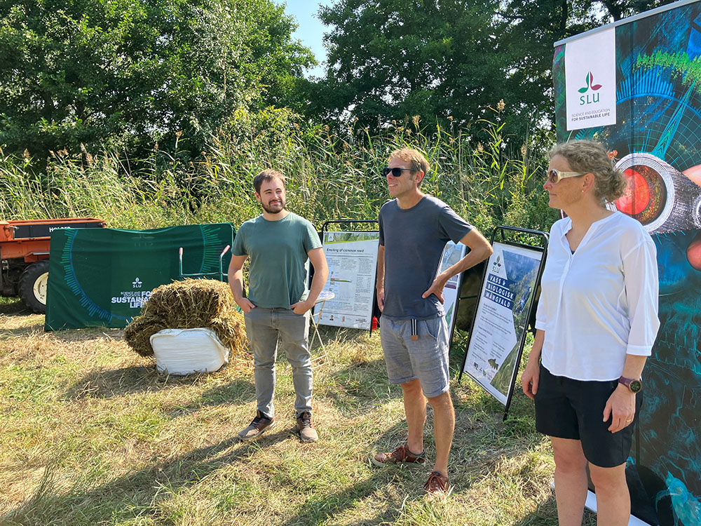 William Ashworth, Örjan Östman och Malin Connysson framför SLU:s monter, utomhus med vass och träd i bakgrunden. Foto. 