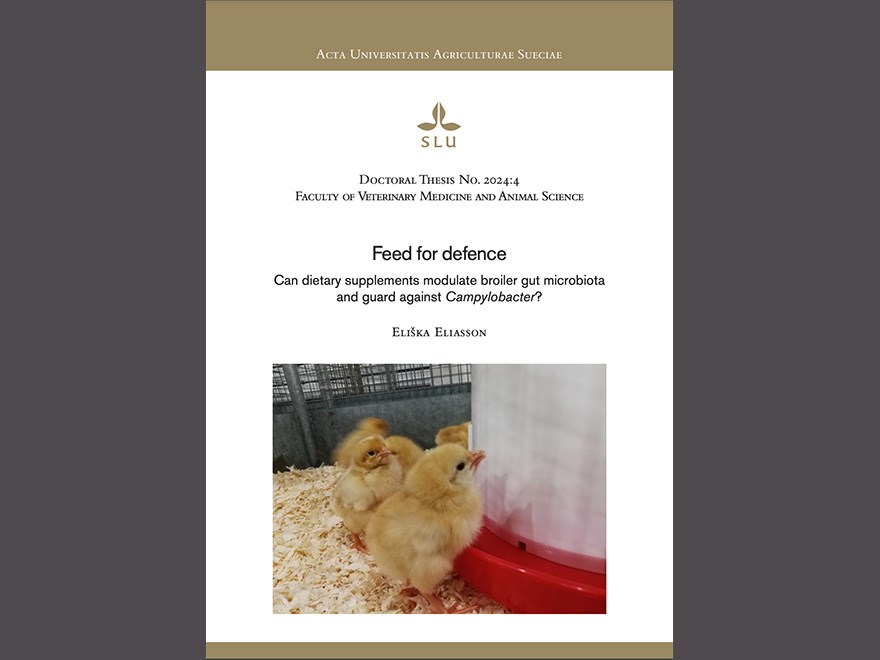 Front page of PhD thesis Feed for defense by Eliska Eliasson. Picture.