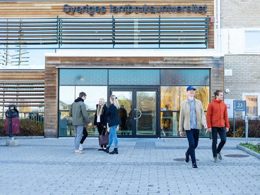 Students at the entrance to SLU in Umeå. Photo.