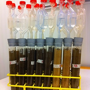 Mini silos with fermentation tubes. Photo.