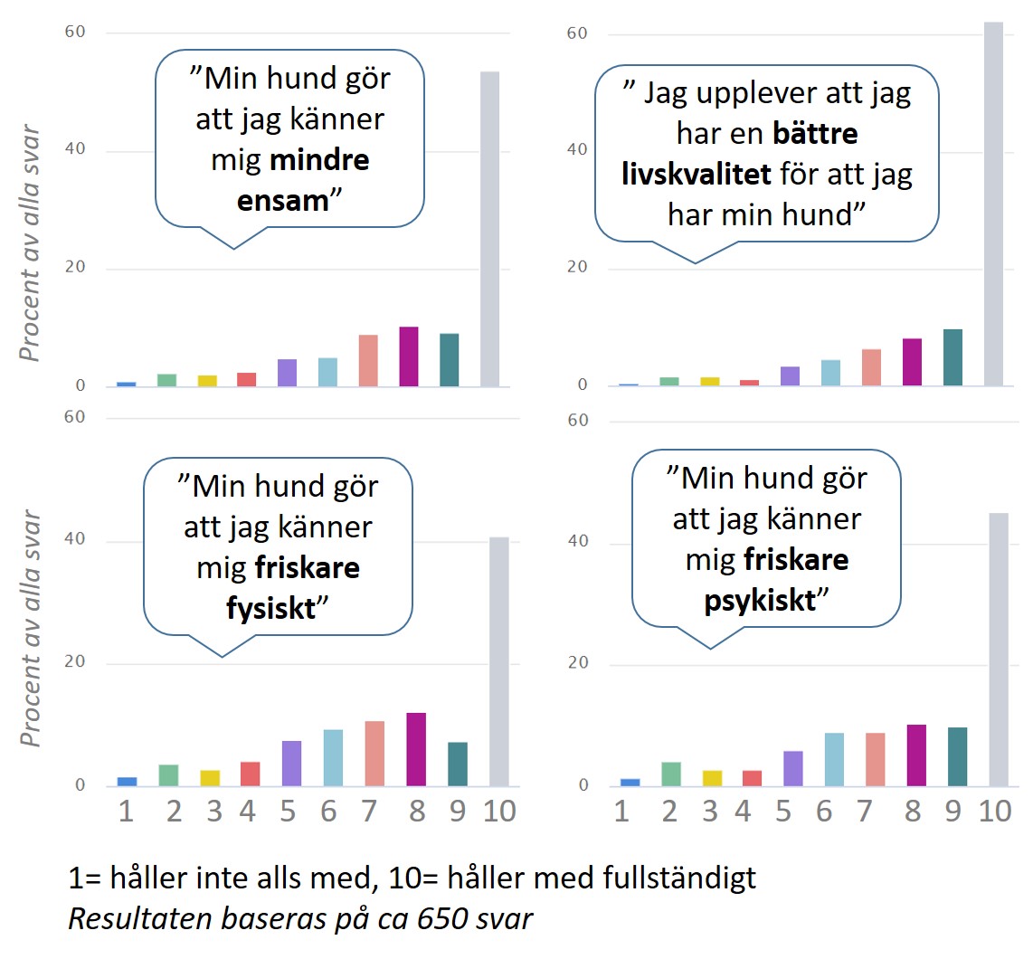 Ägarens_mående.jpg