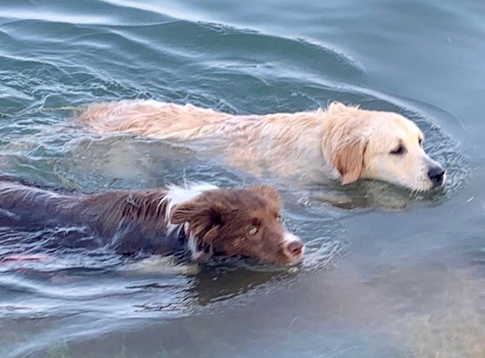 Lou Lou och bästisen Juna badar