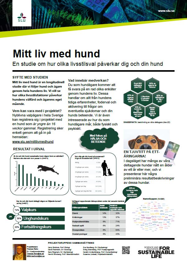 Poster Mitt liv med hund