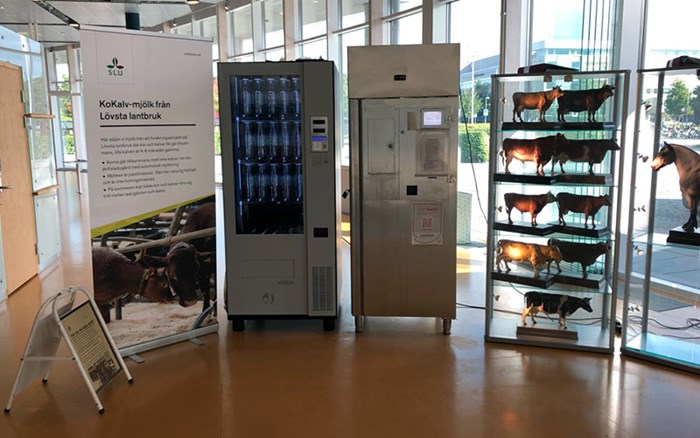 Mjölkautomaterna innanför entrén på VHC på Ultuna Campus, SLU. Foto.