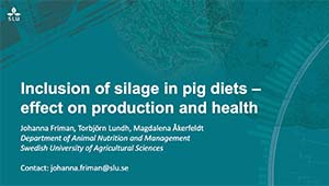 Skärmavbild-Inclusion-of-silage-effects-on-prod-and-health.jpg
