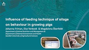 Skärmavbild Influence of feeding technique on behaviour.jpg