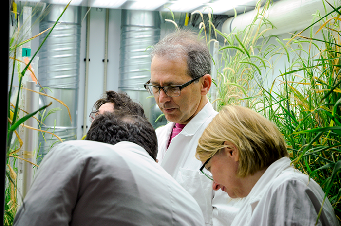 Four people discussing in a climate chamber, photo.