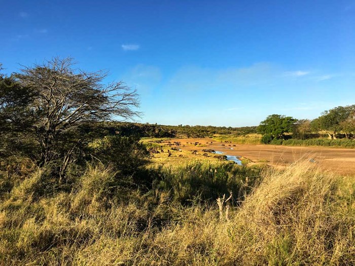  Savannah in South Africa. Photo.