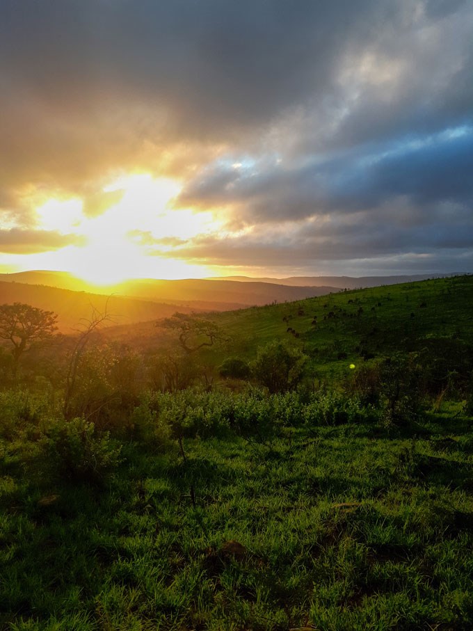  Beautiful sunset. Photo.