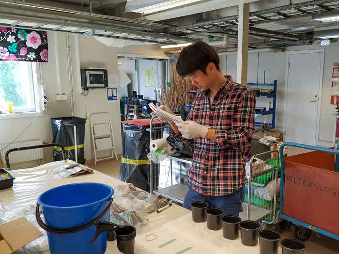 Sanghyun Kim arbetar i labbet. Foto.