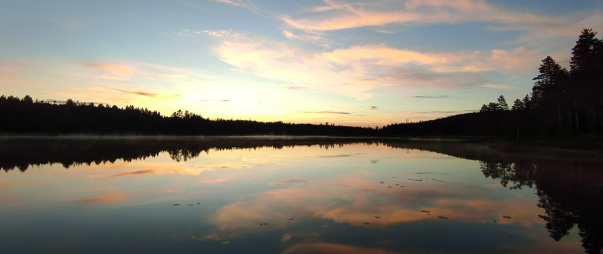 Solnedgång över skog och vatten.