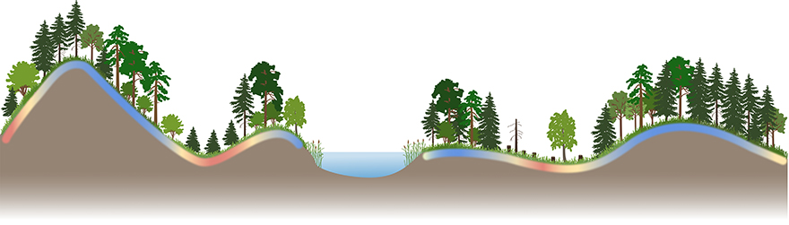 Bild som visar genomskärning av landskap med kullar, träd, växtlighet och sjö. Illustration.