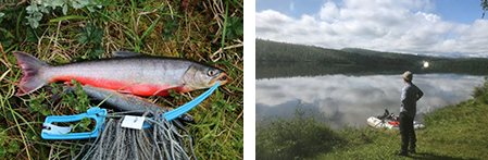 Net fishing in a mountain lake