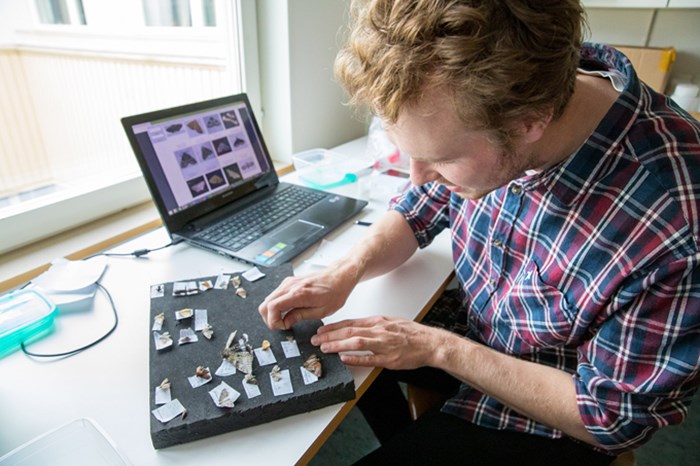 Oskar Lövbom artbestämmer fjärilar i labbet. Foto.