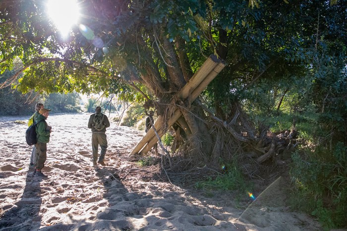 Persons next to a tree.