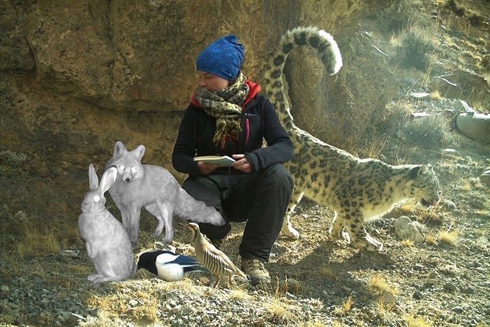 Sherry with a lot of animals around.
