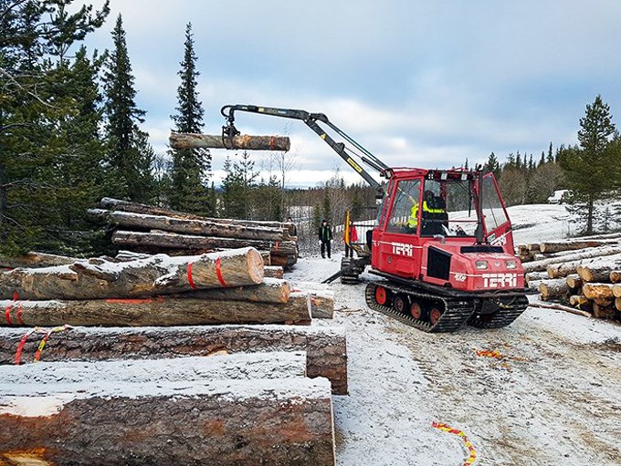  Forest machine lifting tree trunks. Photo.