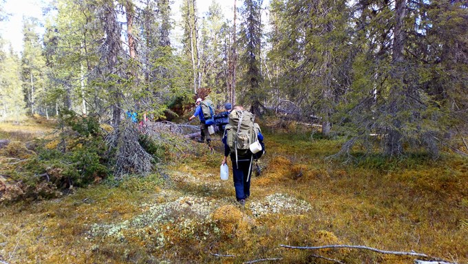  People with backpacks walk in the woods. Photo.