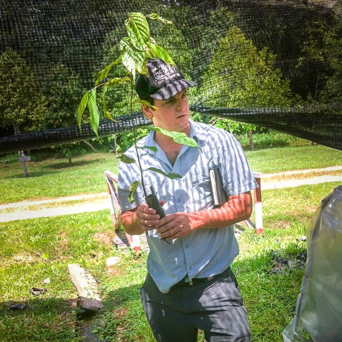 Man håller en trädplanta. Foto.