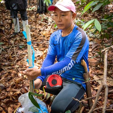 Person marks the centre of a forest area to be inventoried.