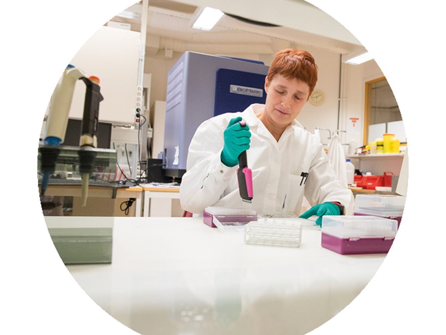 person working in a lab