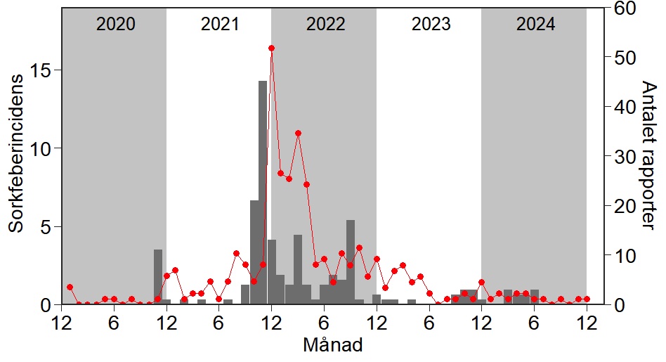 Grafik över antalet sorkar som observerats inomhus